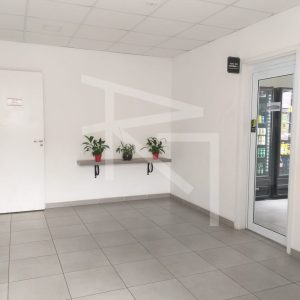 HALL-SOCIAL