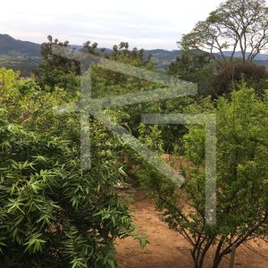 IMG-20251103-WA0009-1