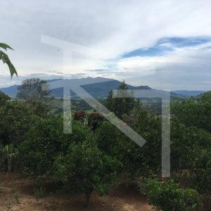 IMG-20251103-WA0010-1