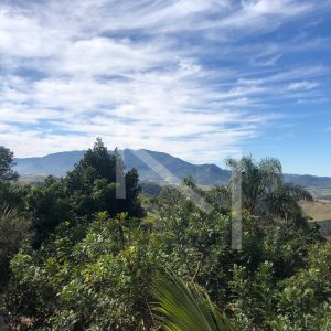 IMG-20251103-WA0020-1