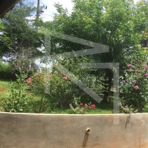 IMG-20251103-WA0021-1