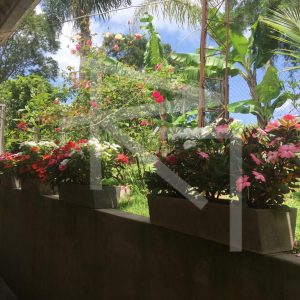 IMG-20251103-WA0023-1