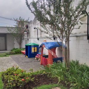 PLAY-2