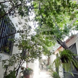 QUINTAL-1