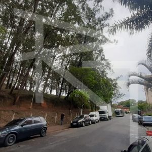 RUA-LARGA-E-ARBORIZADA